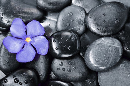 Violet oleander