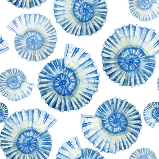 Nautical shells