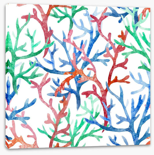 Coral colours