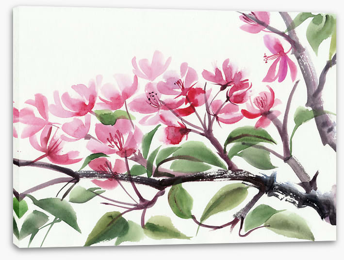 Cherry blossom