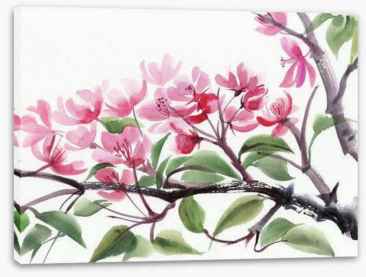 Cherry blossom