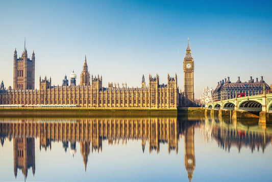 Parliament mirror
