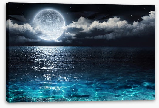 Moonshine seascape