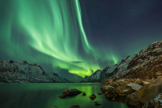 Aurora Borealis over the fjord