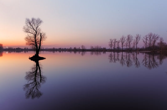 Sunrise silhouettes