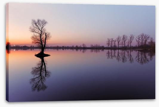 Sunrise silhouettes