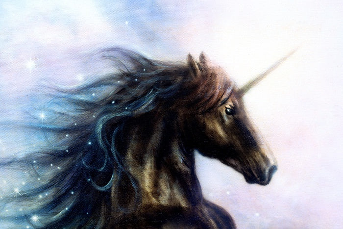 The black unicorn