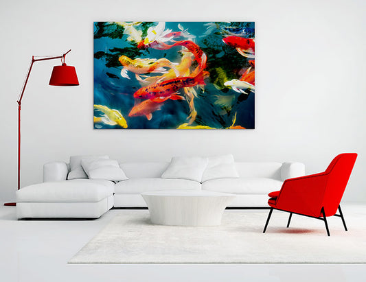 Koi fish in pond