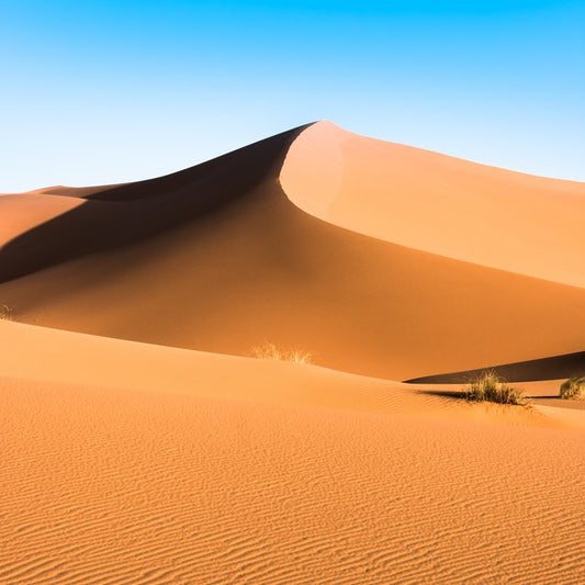 Desert