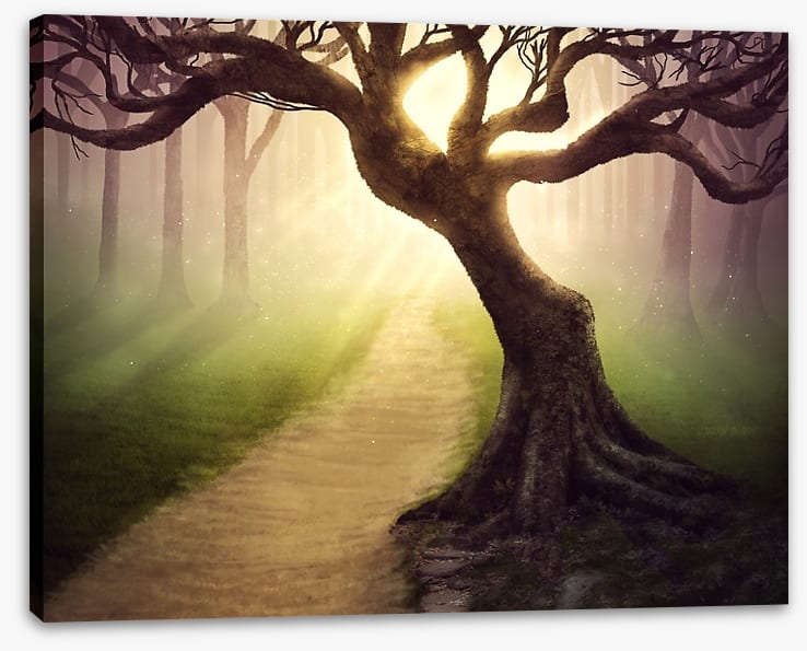 Mystical forest pathway
