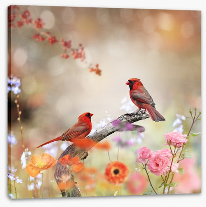 Northern cardinals