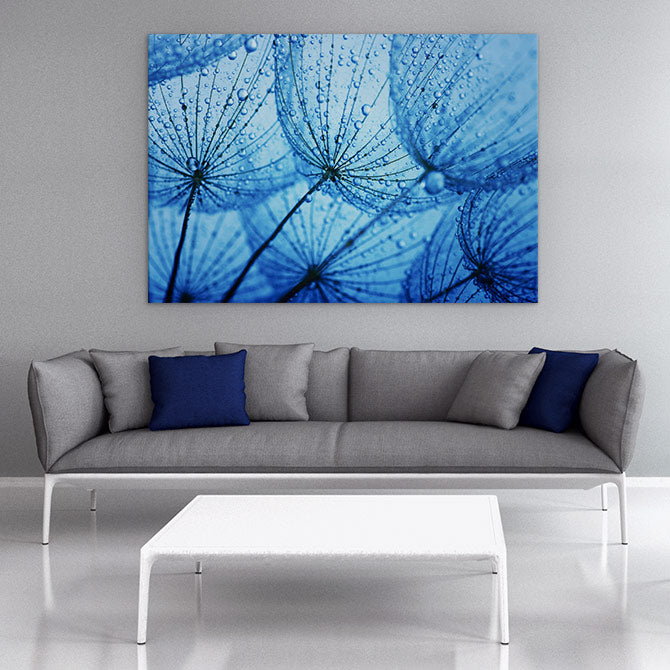 Dandelion blues