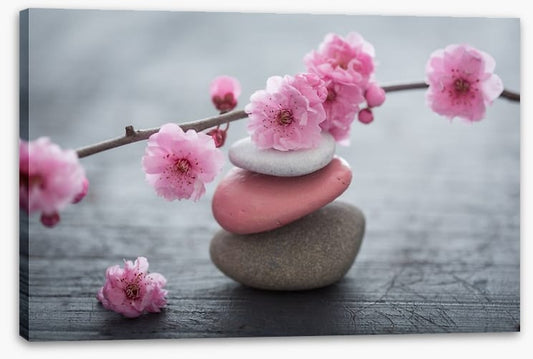 The beauty of zen
