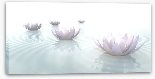 Soft floating lotus