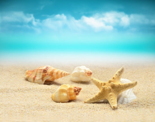 Starfish and seashells