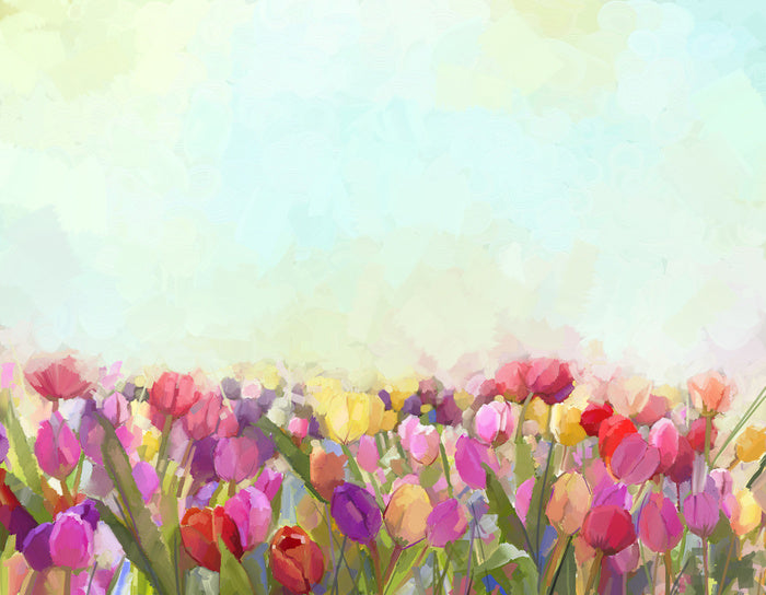 Tulip meadow sunshine