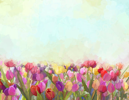 Tulip meadow sunshine