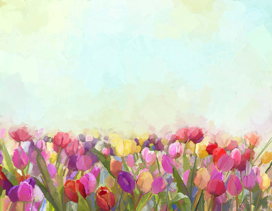 Tulip meadow sunshine