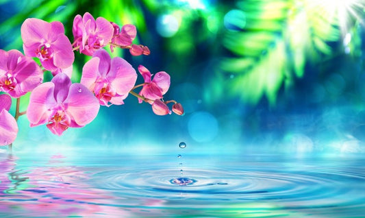 Zen garden droplet