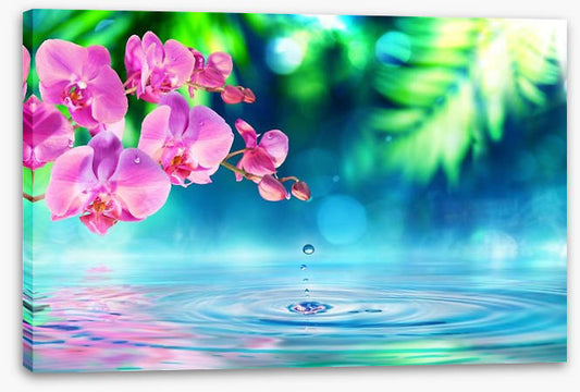Zen garden droplet