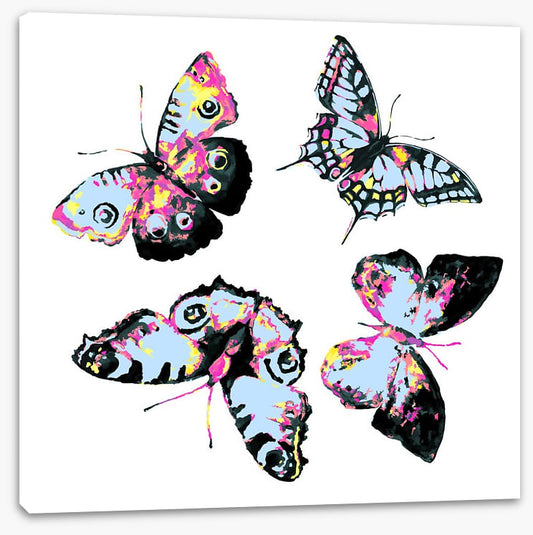 Butterflies