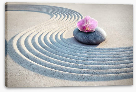 Past the pink orchid