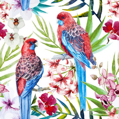 Two crimson rosellas