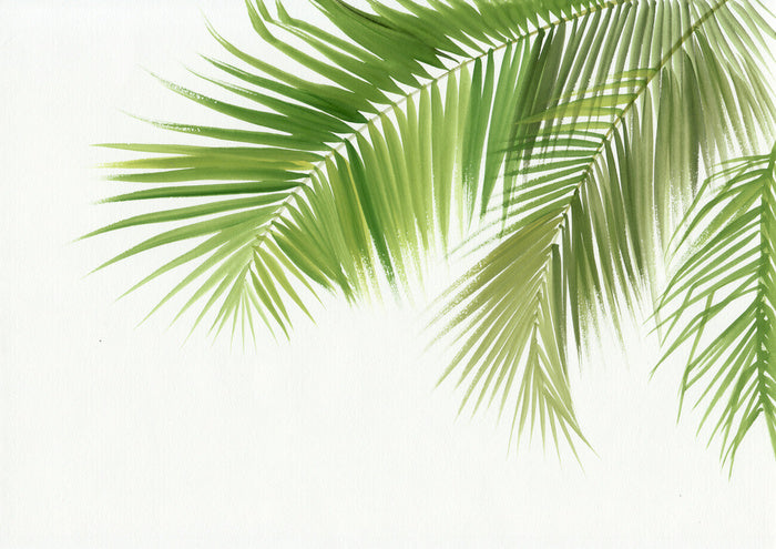 Green palm breeze