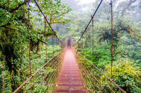 South America