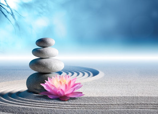 Lily and stones