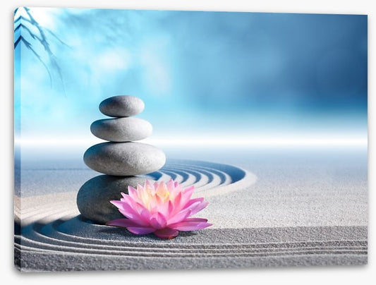 Lily and stones