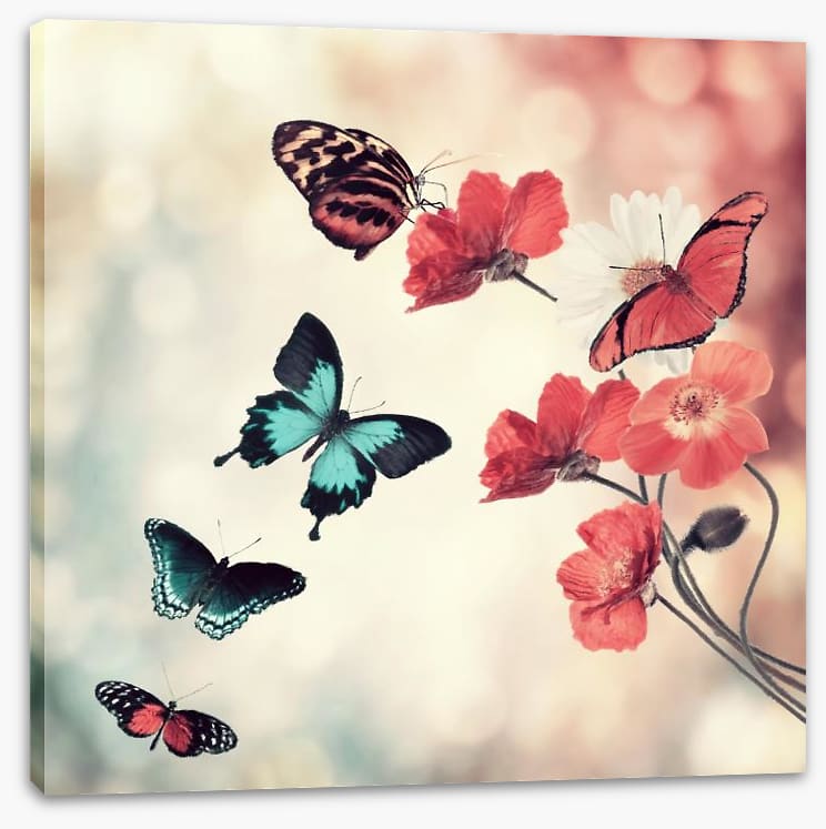 Five butterflies