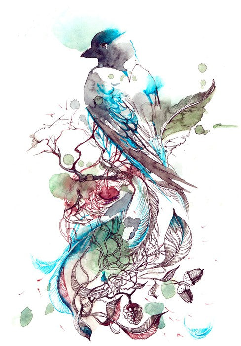 Pretty passerine