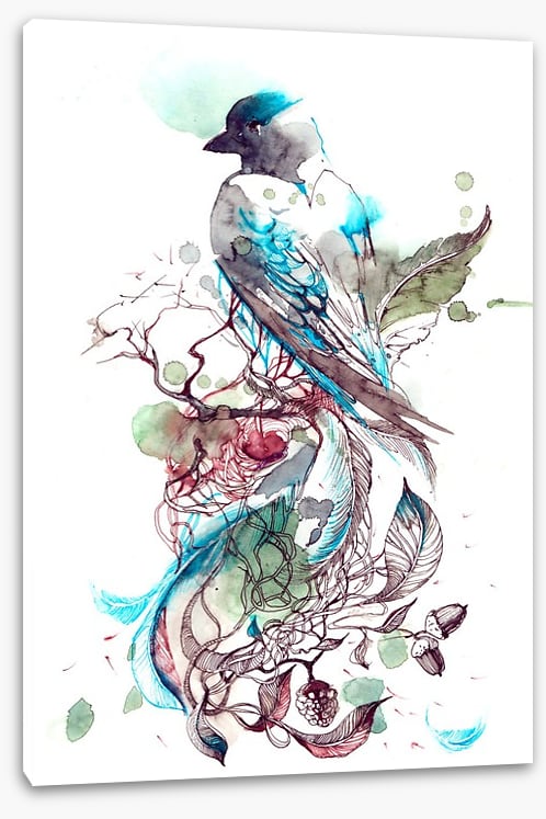 Pretty passerine