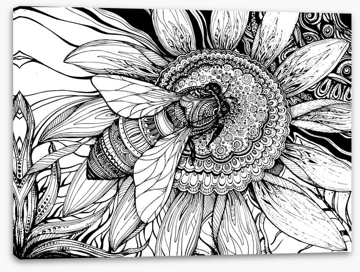 Honey bee