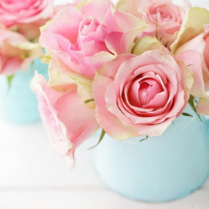 Pink roses in a vase