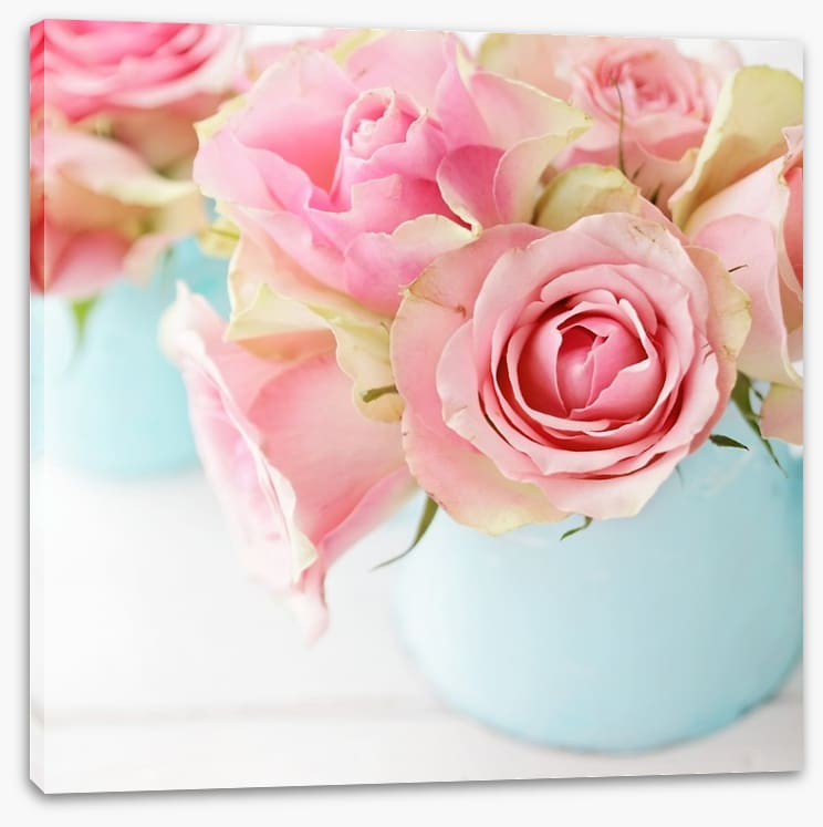 Pink roses in a vase