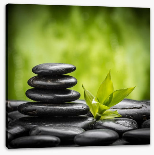 Ayurveda growth