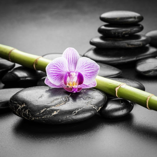 Orchid balance