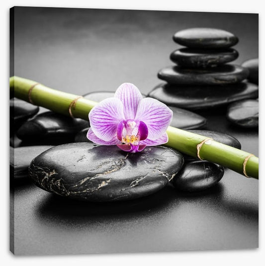Orchid balance