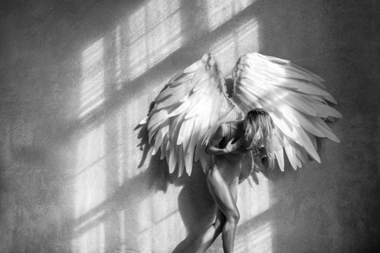 Broken wings