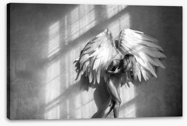 Broken wings