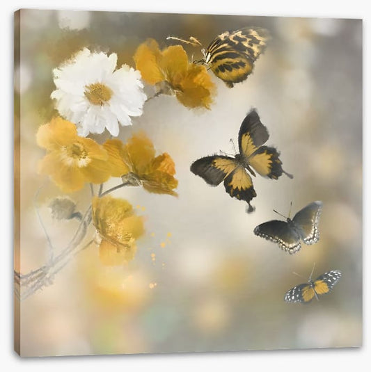 Butterflies