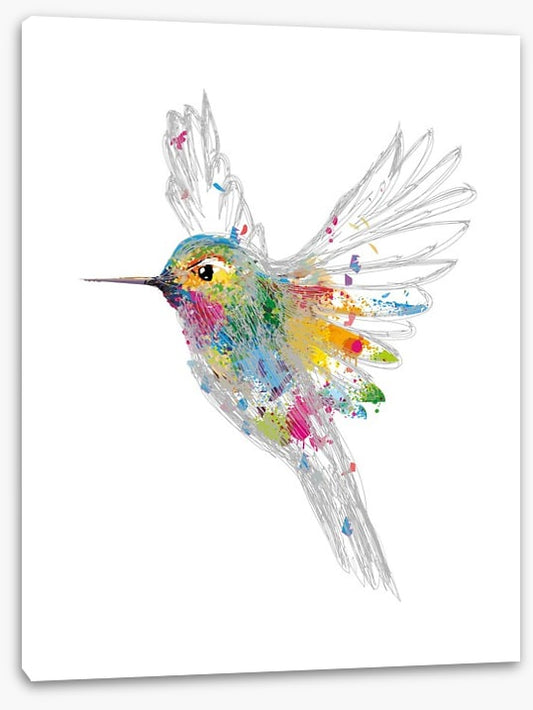 Rainbow honey-eater