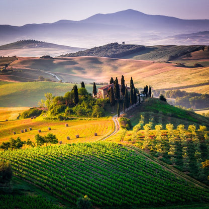 Hills of Val d'Orcia