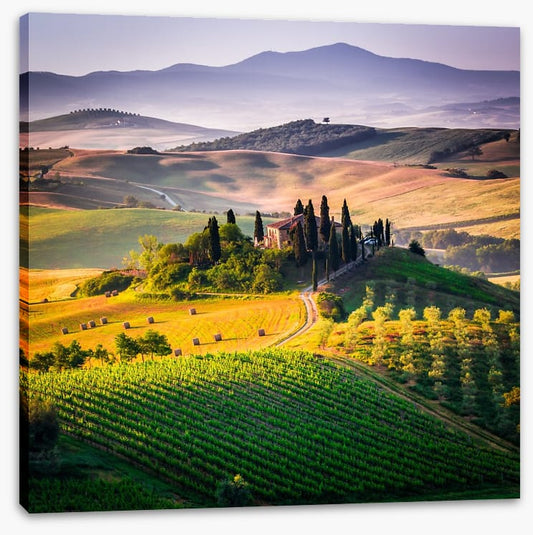 Hills of Val d'Orcia