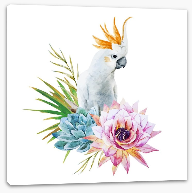 Cockatoo grove