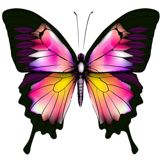 Butterflies