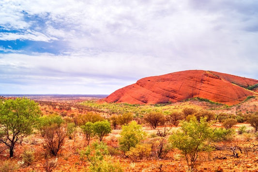 Outback