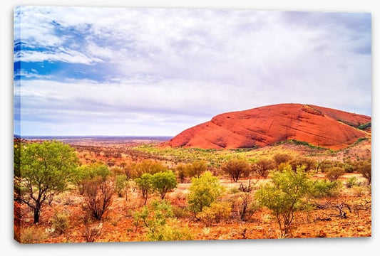 Outback